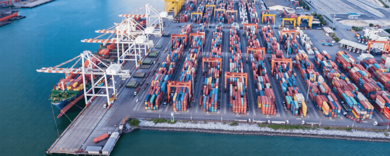 Supply Chain Consultation